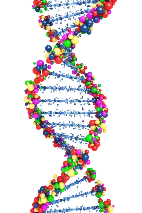 Mana Practice DNA Tests