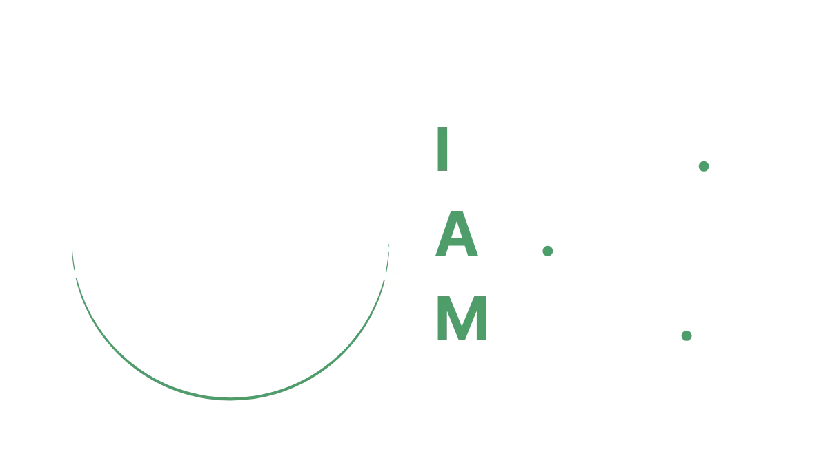 The Phoenix Project Logo