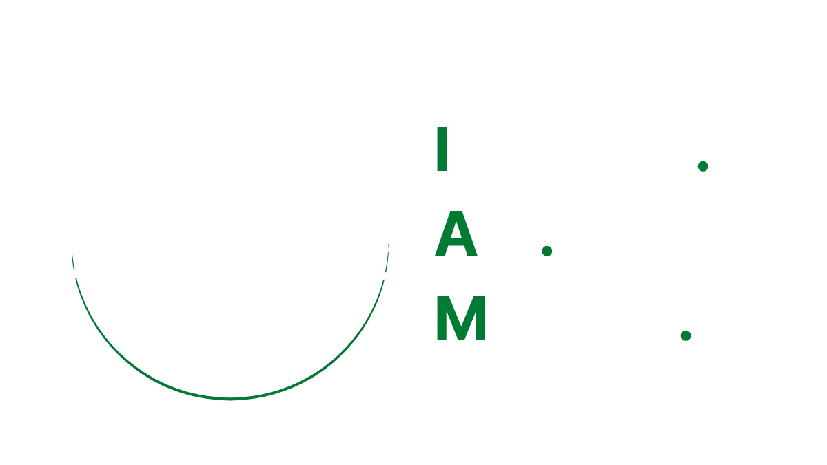 The Phoenix Project Logo