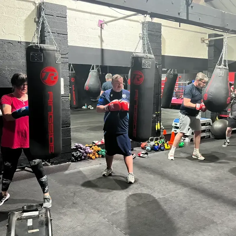 Punching bags at TRF Boxing