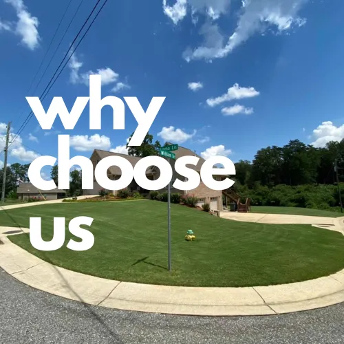 Why Choose Us