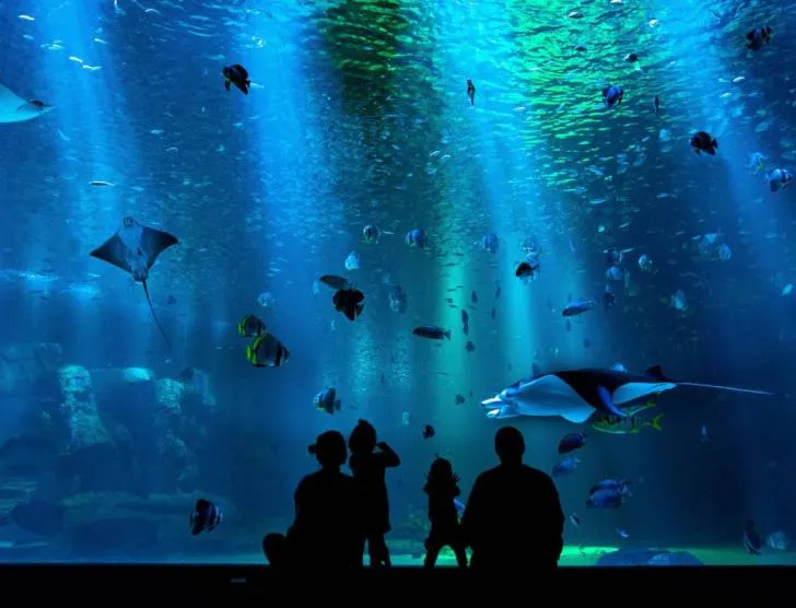 Sea Life Sydney Aquarium