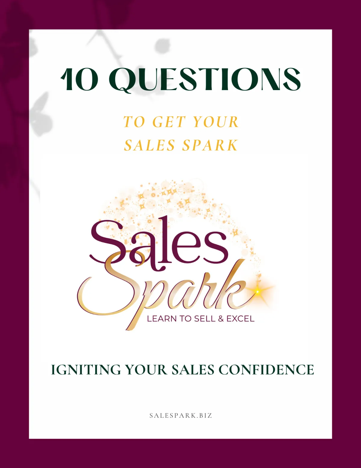 Sales Spark 10 qestions