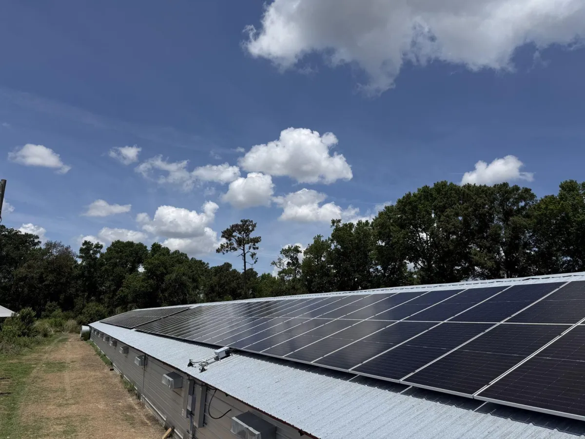 Put the Power Plant on the Farm - Part 4 of 5
