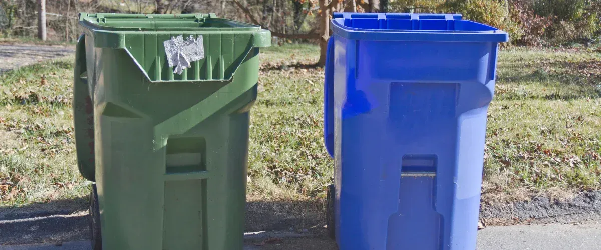 A green and a blue trash bin stand side-by-side on a curb on a sunny day.
