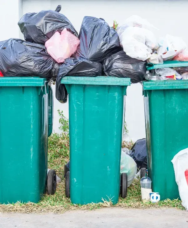 Three green garbage bins are overflowing with black and white plastic bags of trash, standing on dry grass next to a white wall.