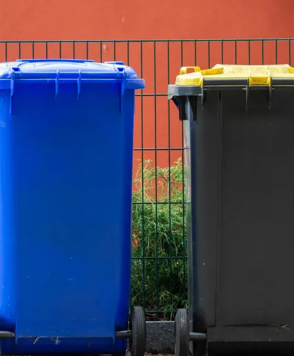 A close-up shot of two recycling bins, one blue for 'Papel y Cartón' and one gray for 'Orgánica', against a stone wall.