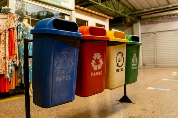 Why Edwardsville Homeowners Are Scheduling Regular Garbage Can Cleaning