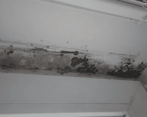  Property Inspections