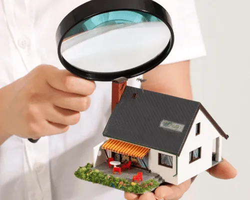  Property Inspections