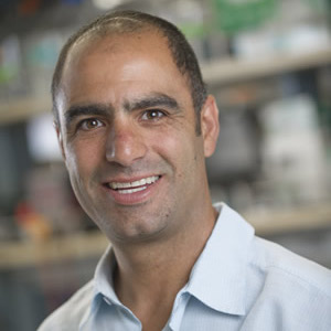 Board Chair portrait