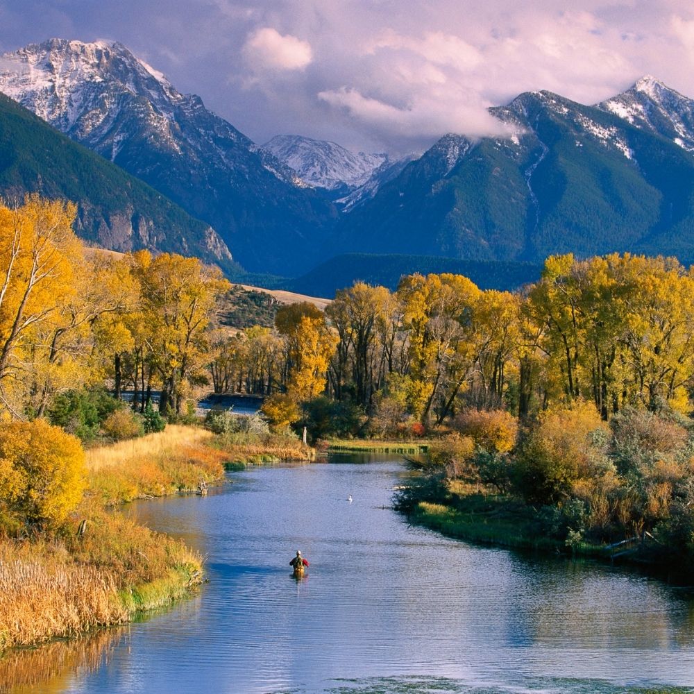 Montana bioscience workforce and training