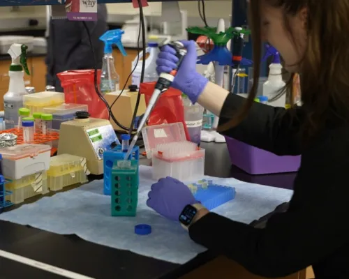 Fighting staph infections: Montana microbiologist wins research awards