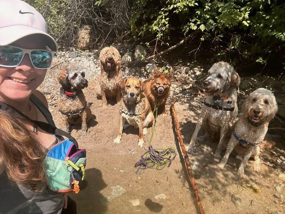 Dog Walking Millcreek