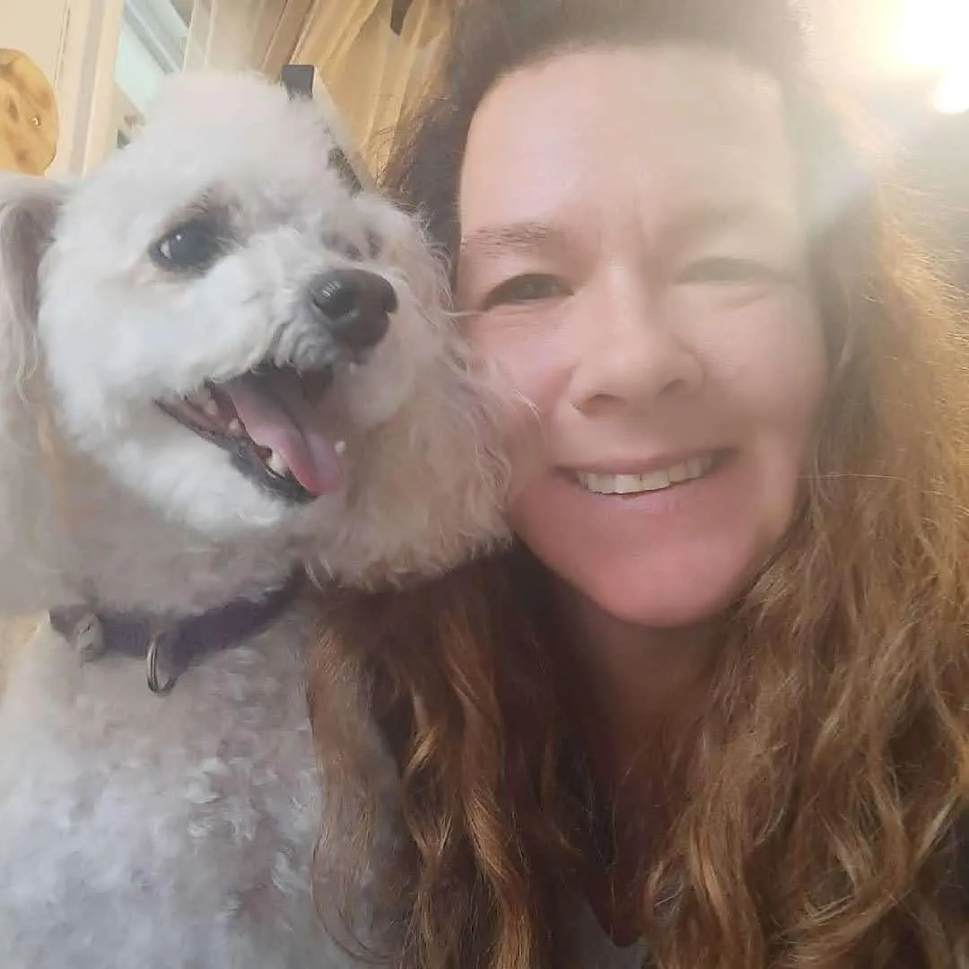 Dog Grooming Millcreek