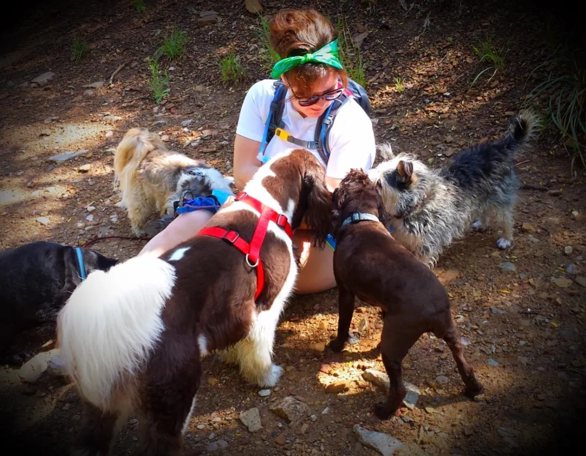 Dog Hiking Millcreek