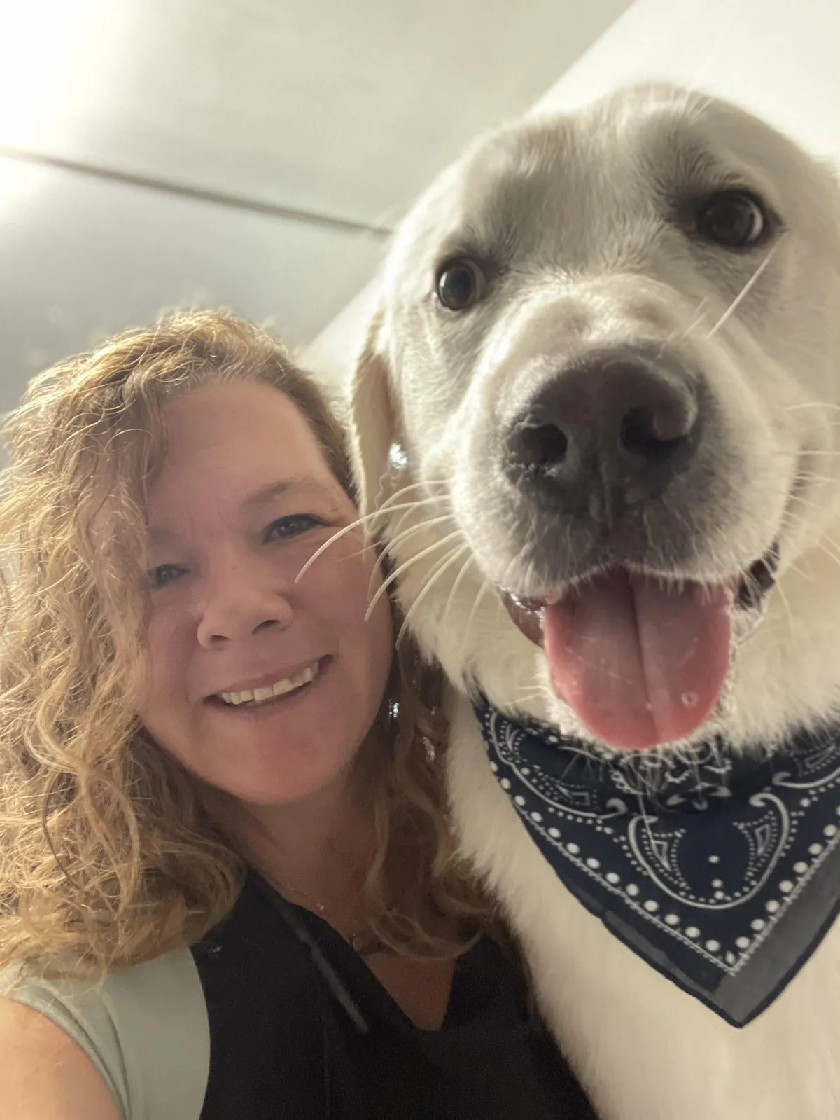 Animal Human Connection Millcreek