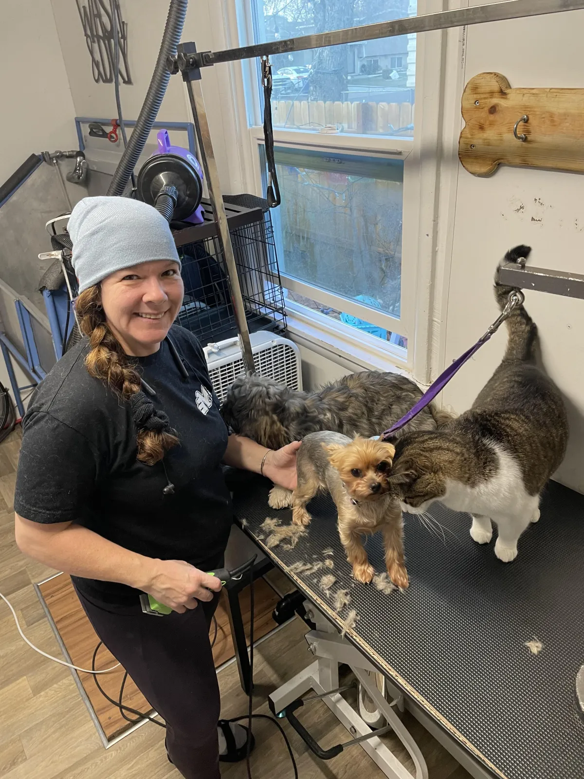 Animal Human Connection Millcreek