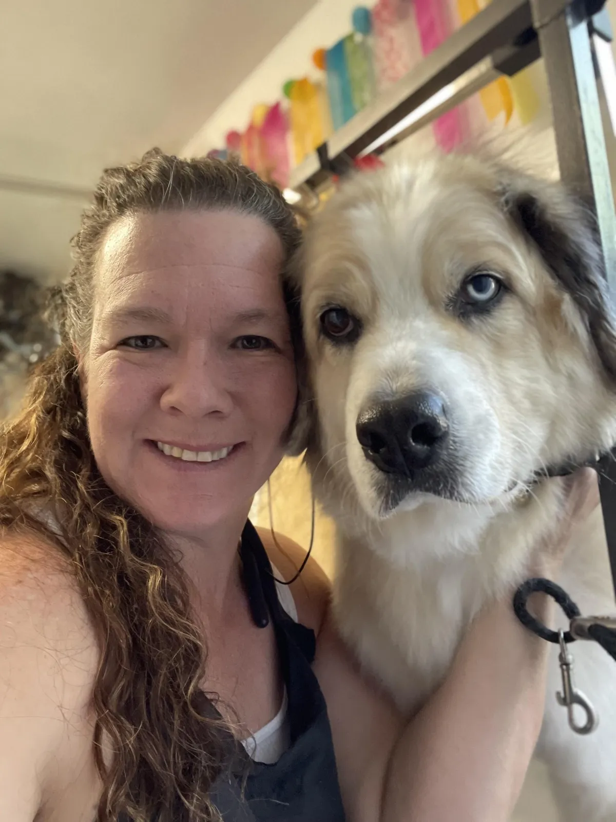 Dog Grooming in Millcreek