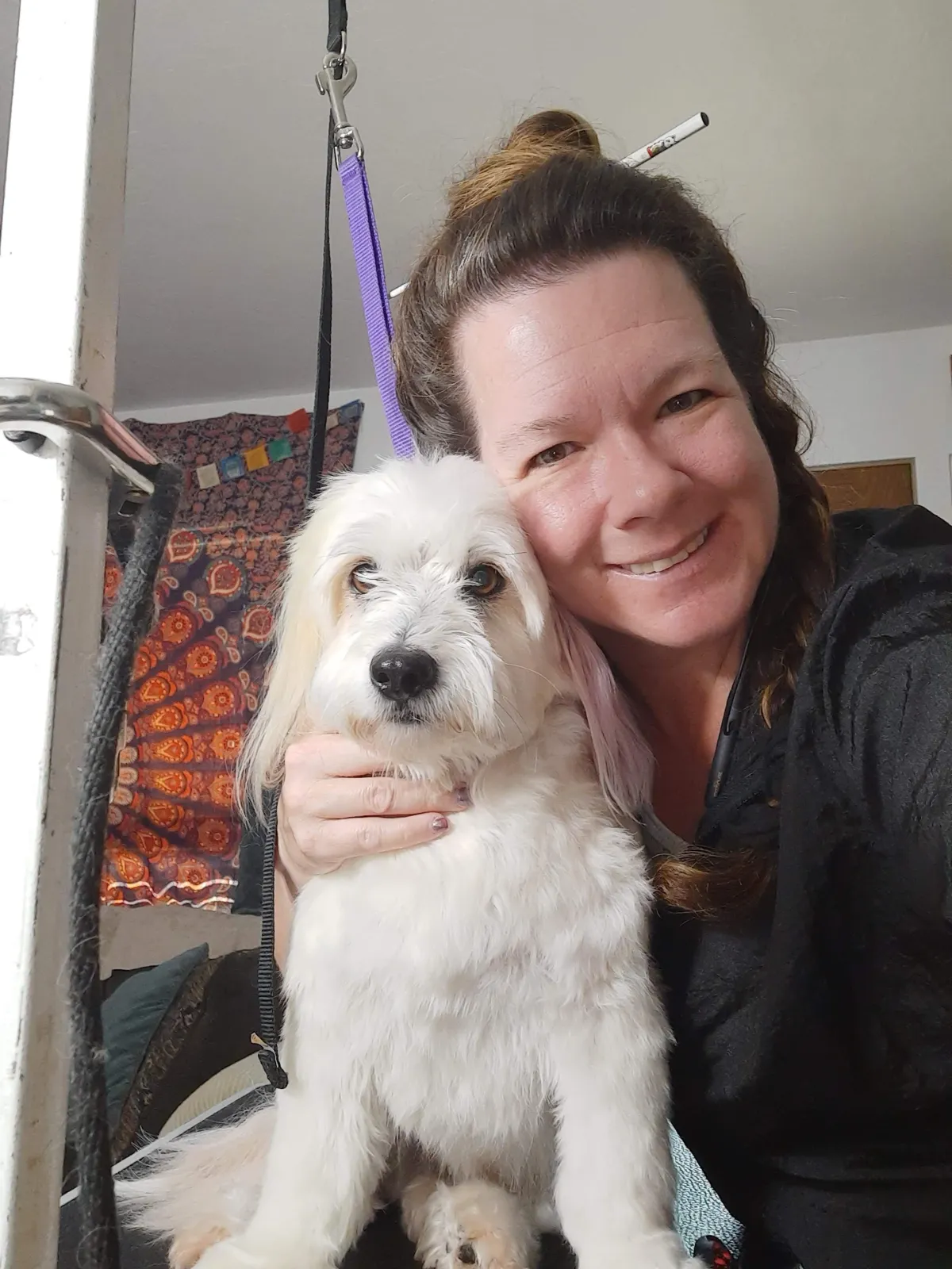 Salt Lake City Dog Walking