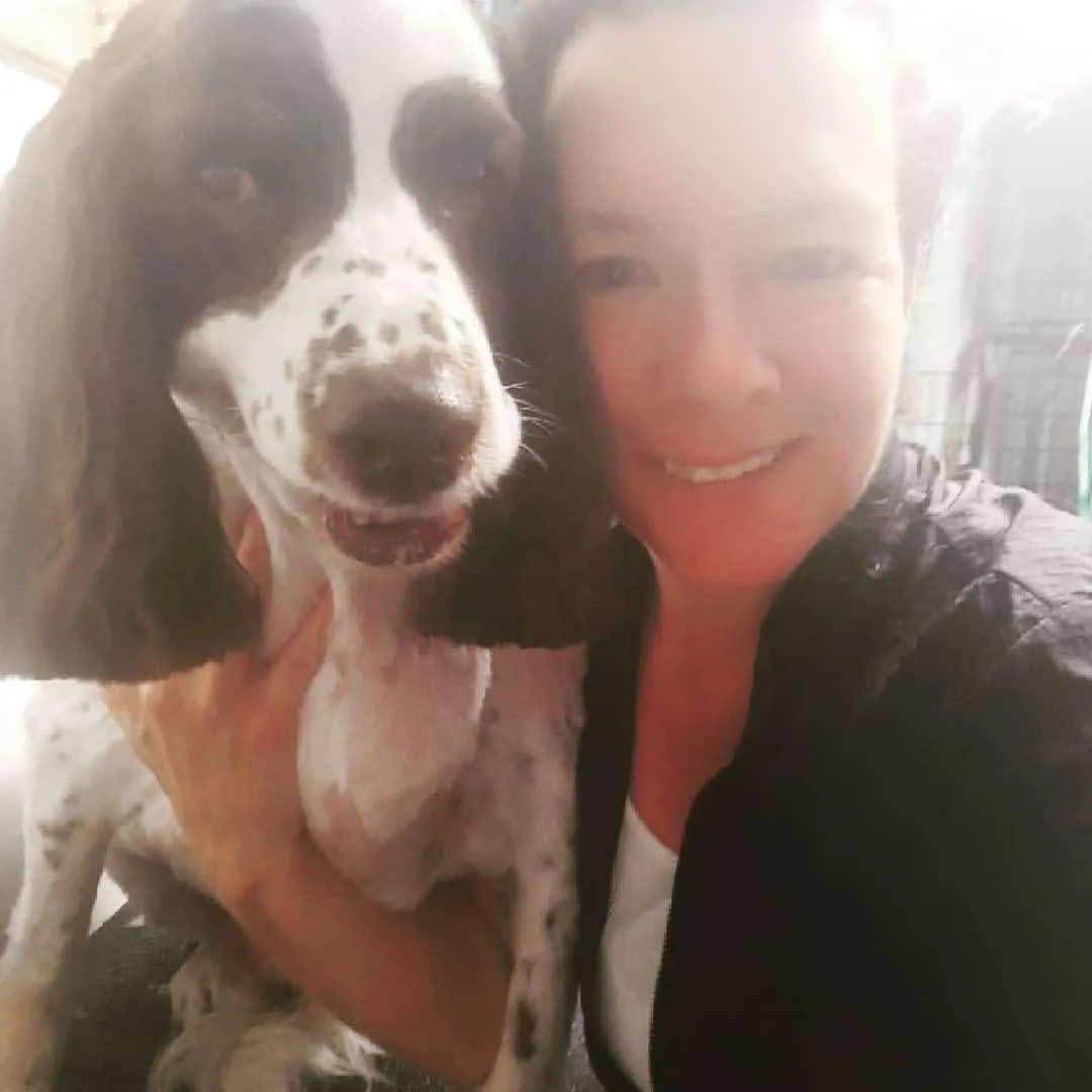 Dog Hiking Millcreek