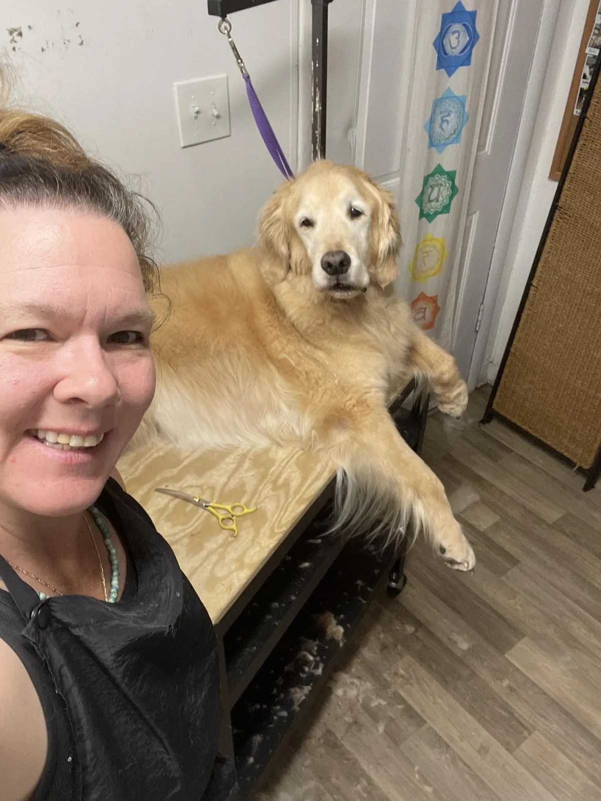 Millcreek Dog Grooming