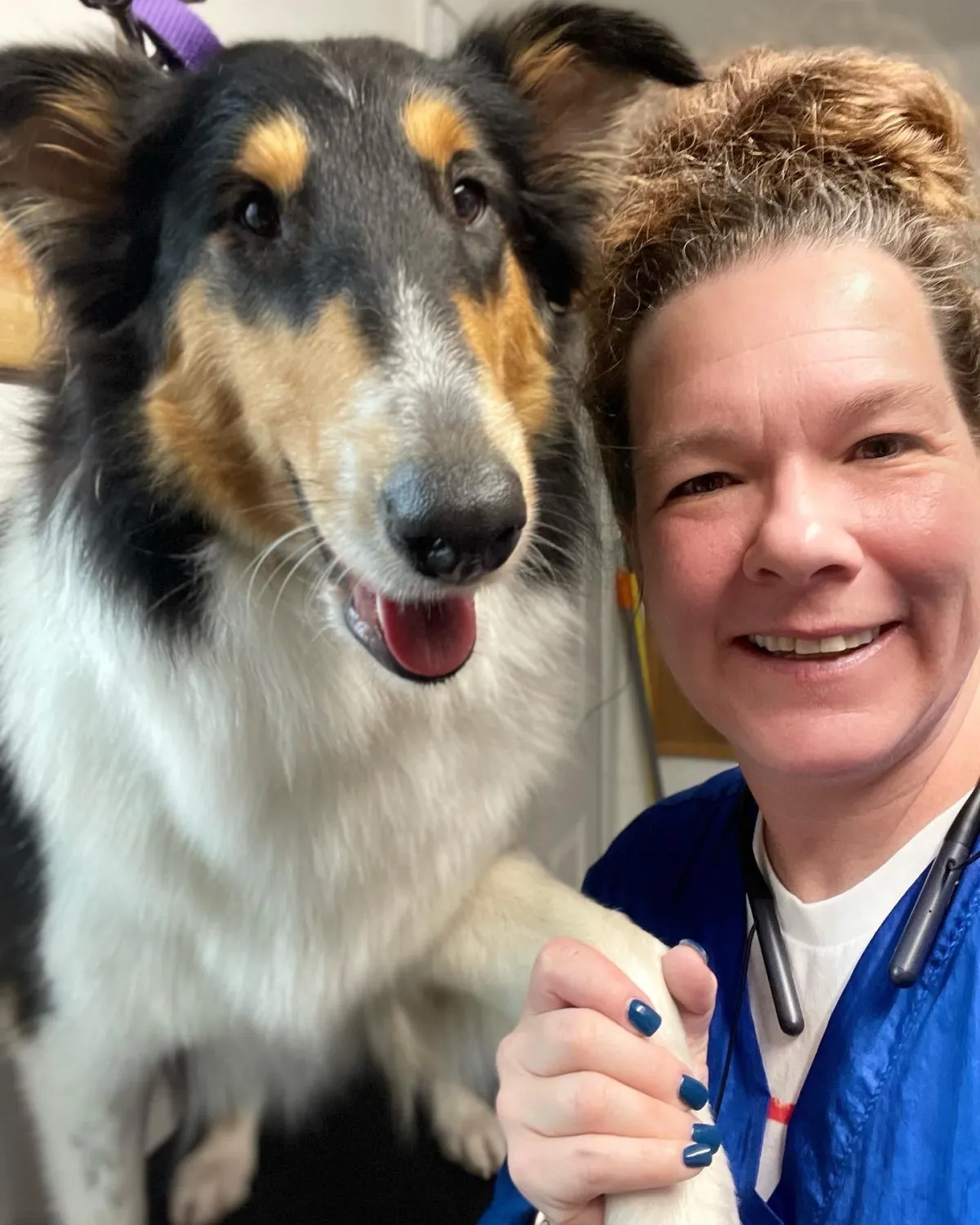 Pet Sitting Millcreek