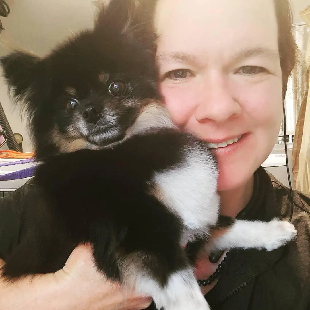 Dog Grooming Millcreek