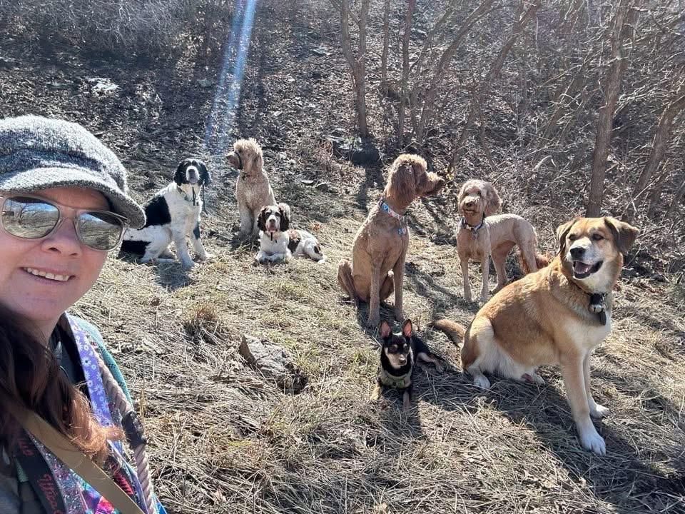 Dog Hiking 