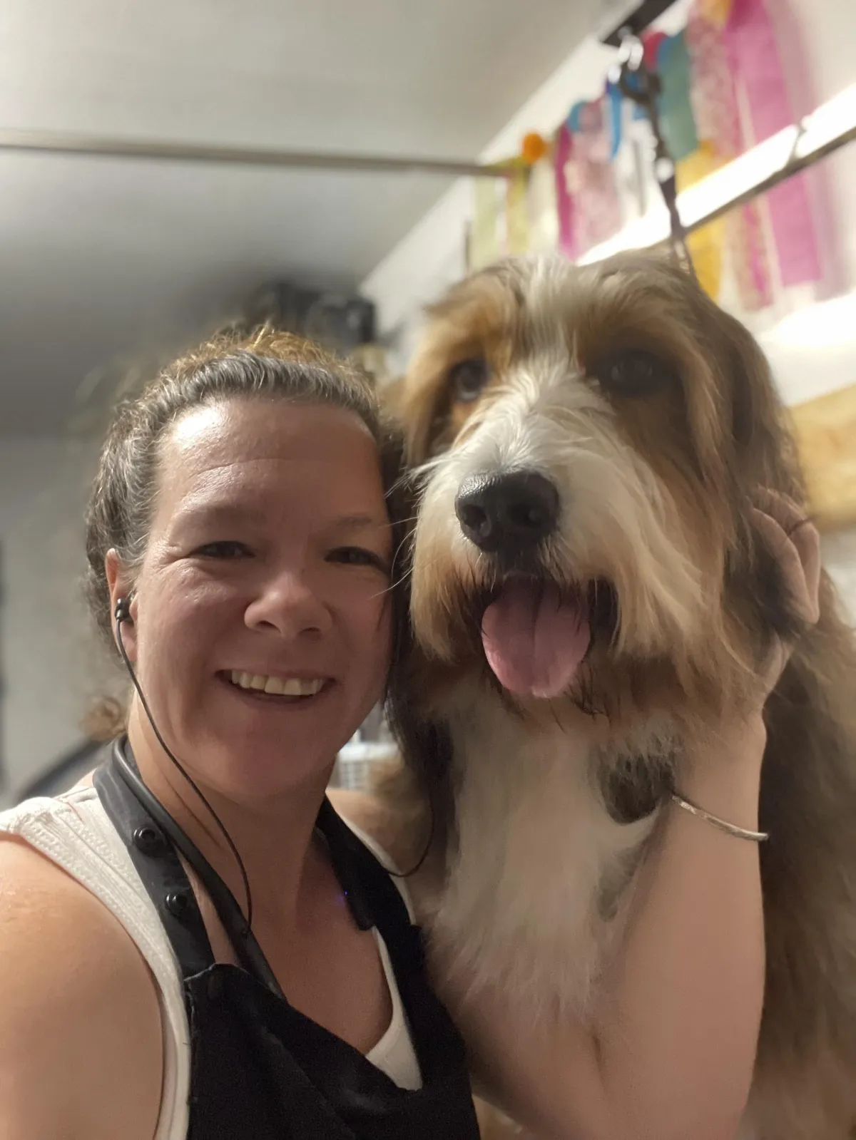 Midvale Dog Grooming