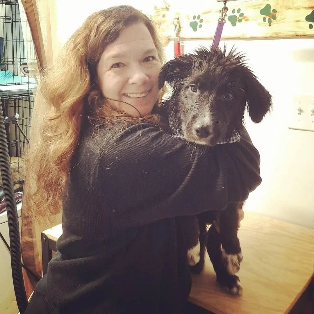 Dog Hiking Millcreek