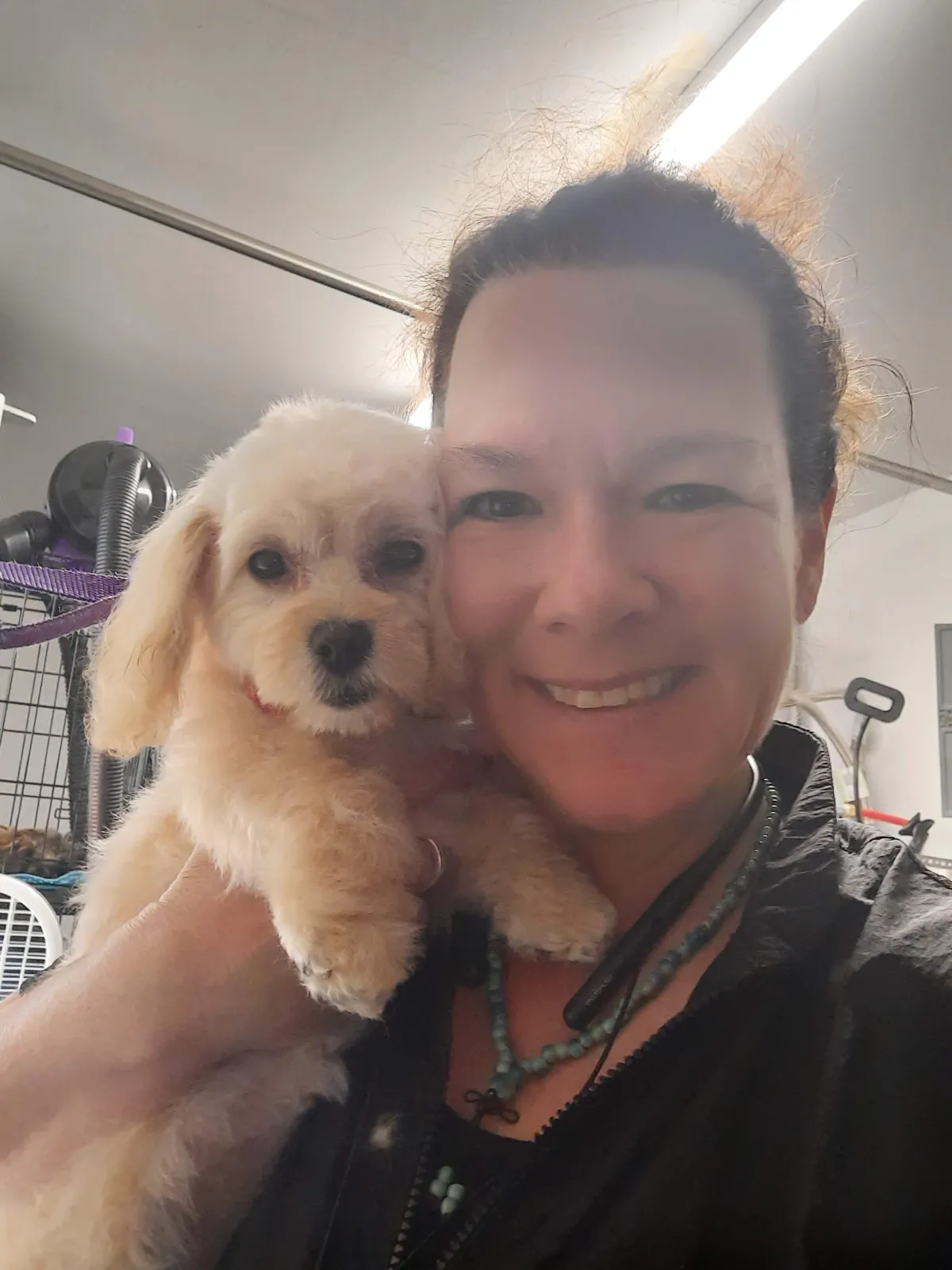 South Salt Lake Dog Grooming