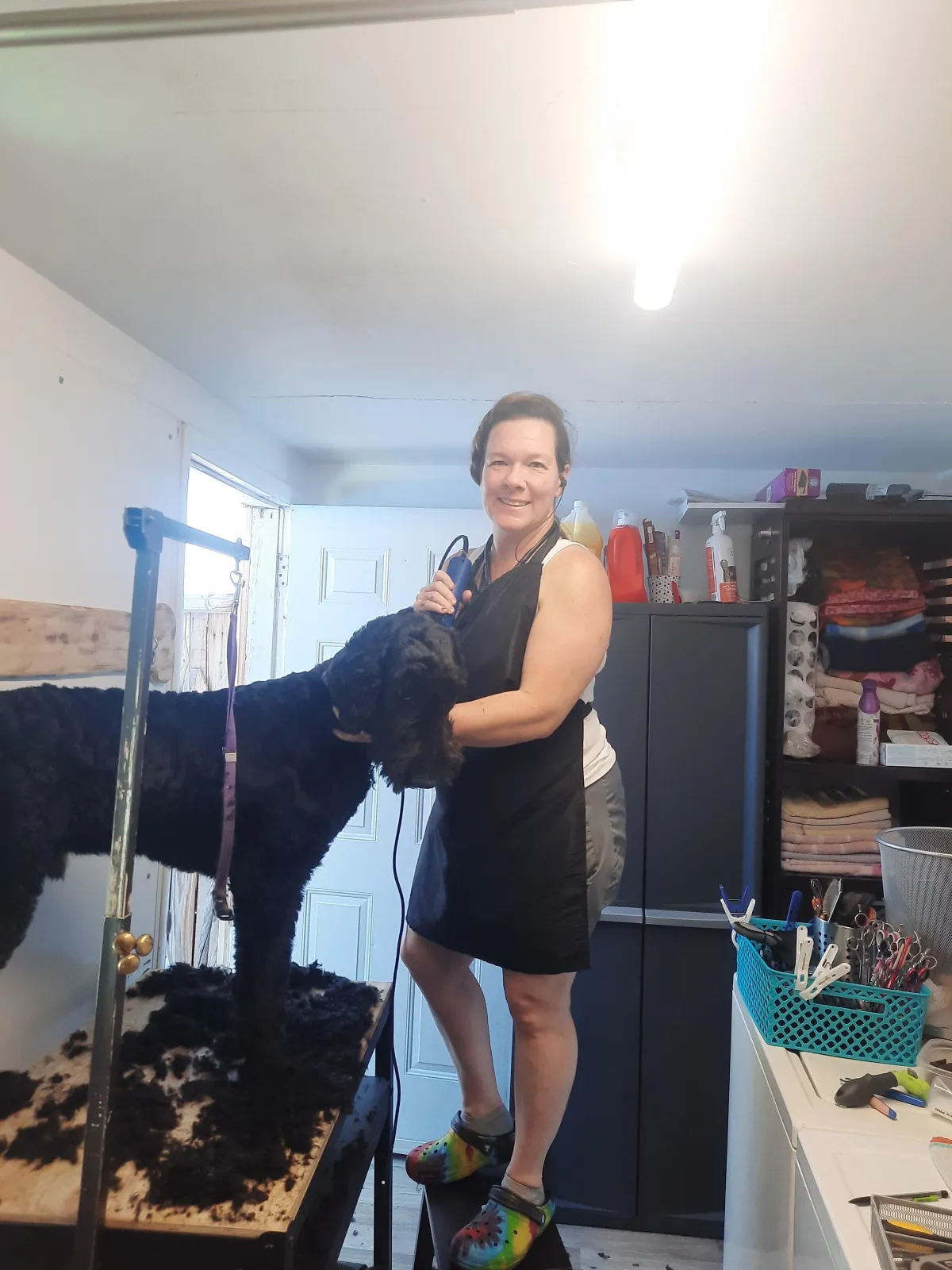 Holistic Pet Care Millcreek