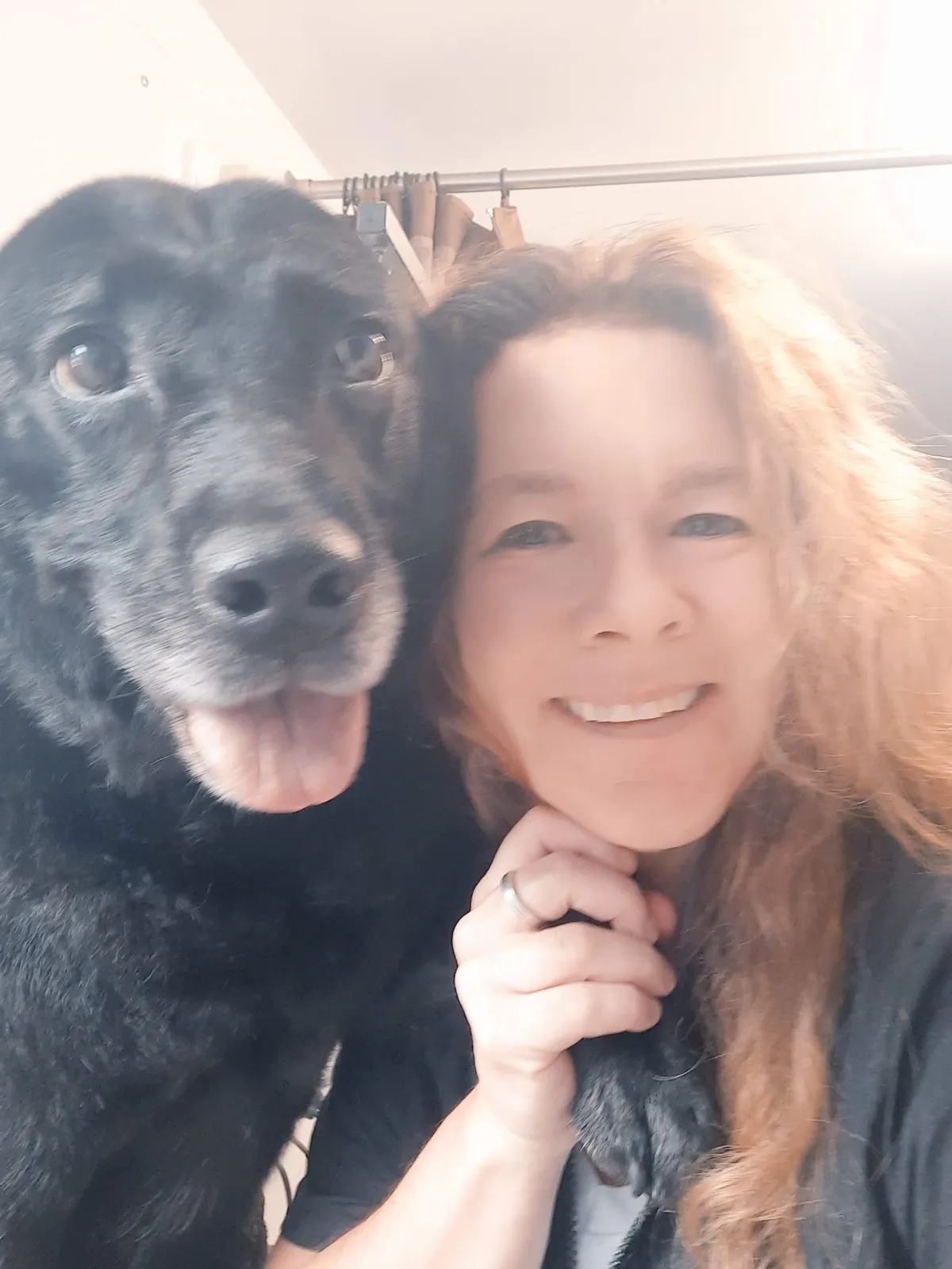 Riverton Dog Grooming