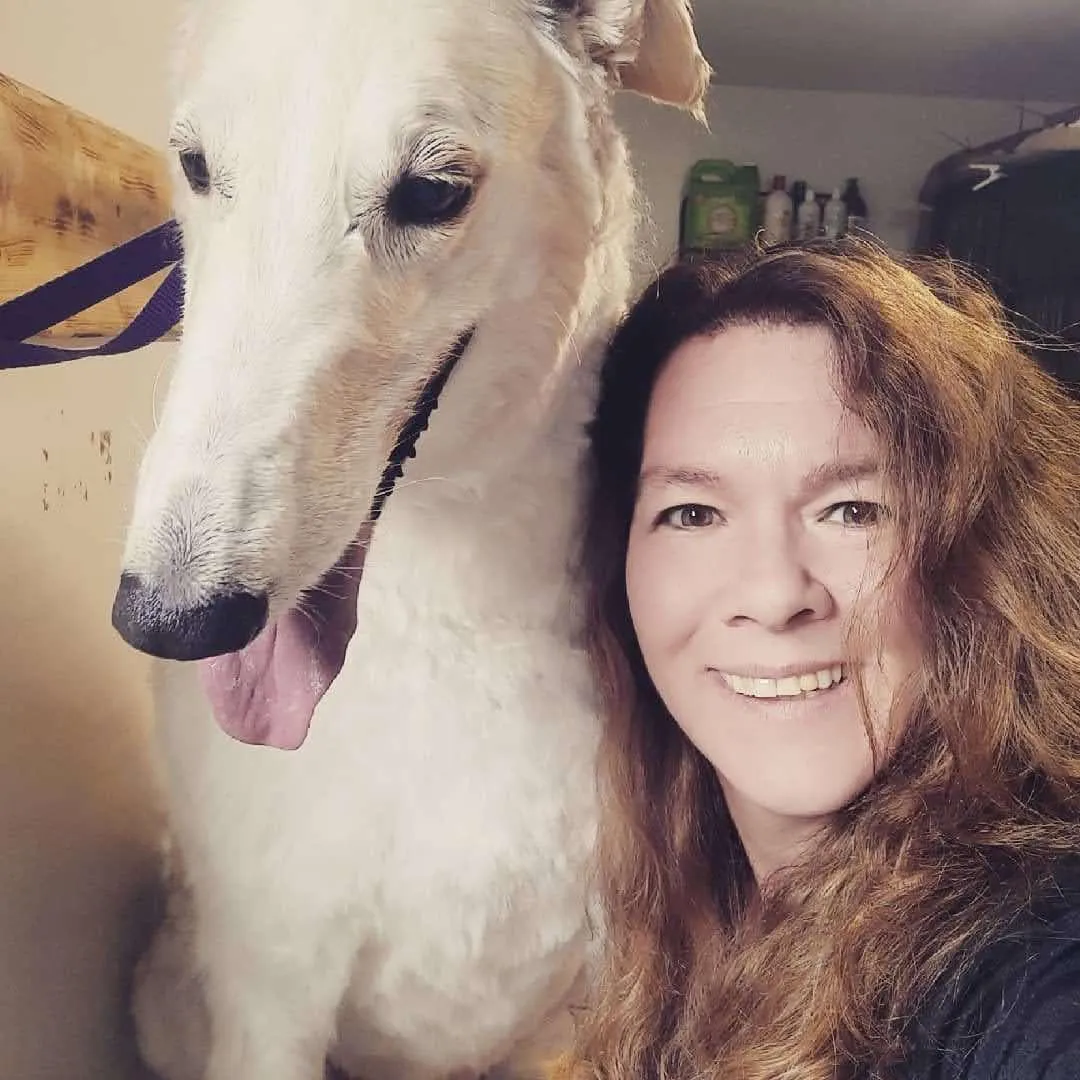 Dog Walking Millcreek