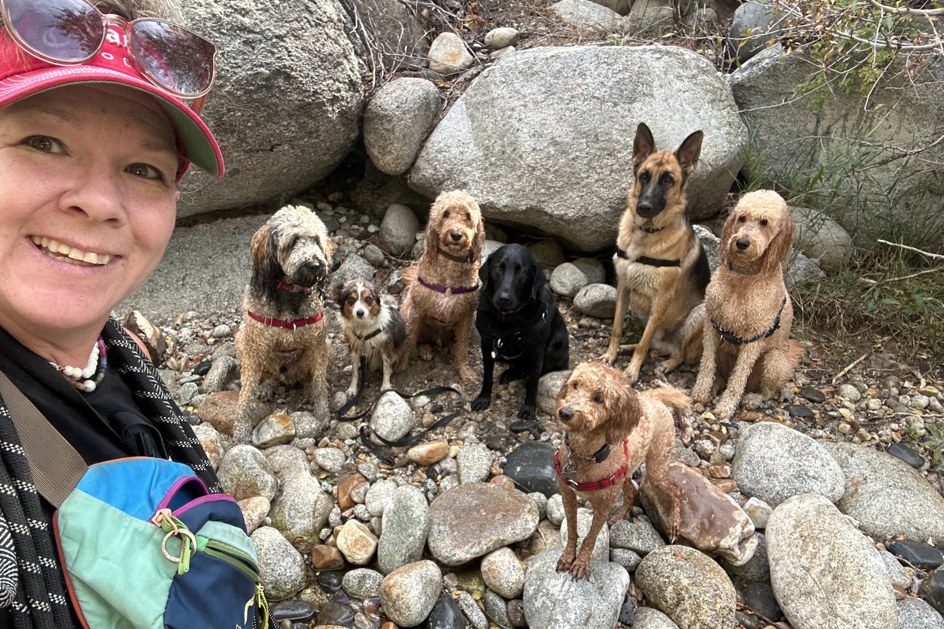 Dog Hiking in Millcreek