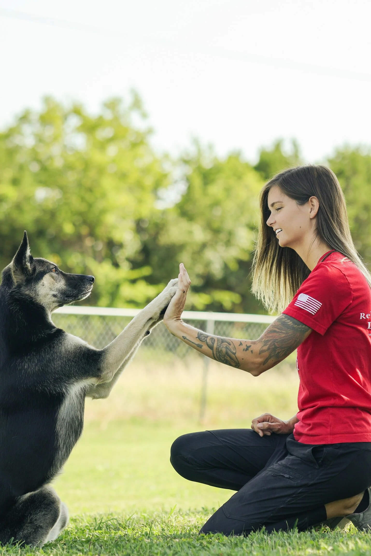 Young girl and small dog on grassy hill overlooking city