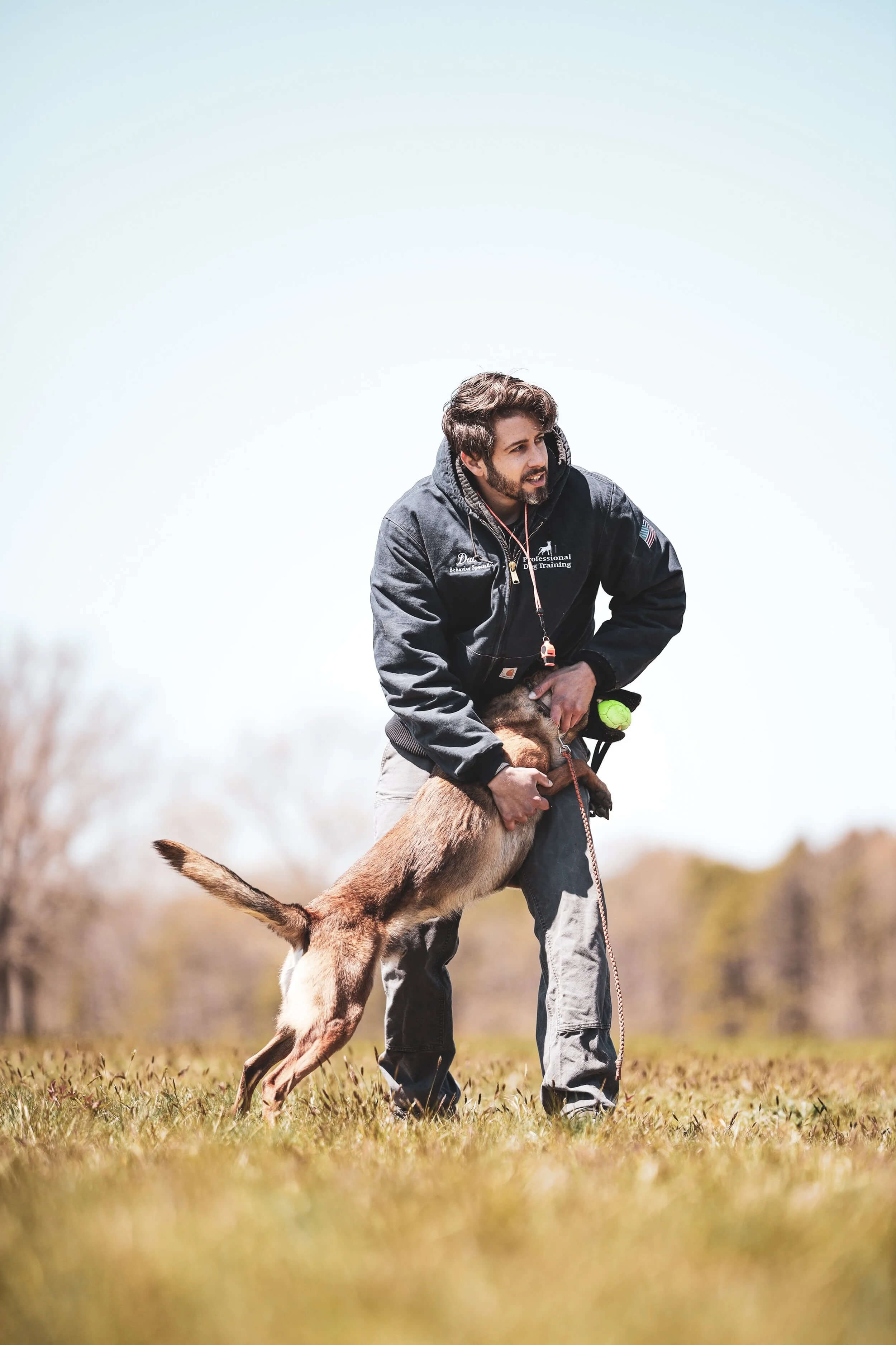 A shiba inu dog sleeping peacefully in the sun.