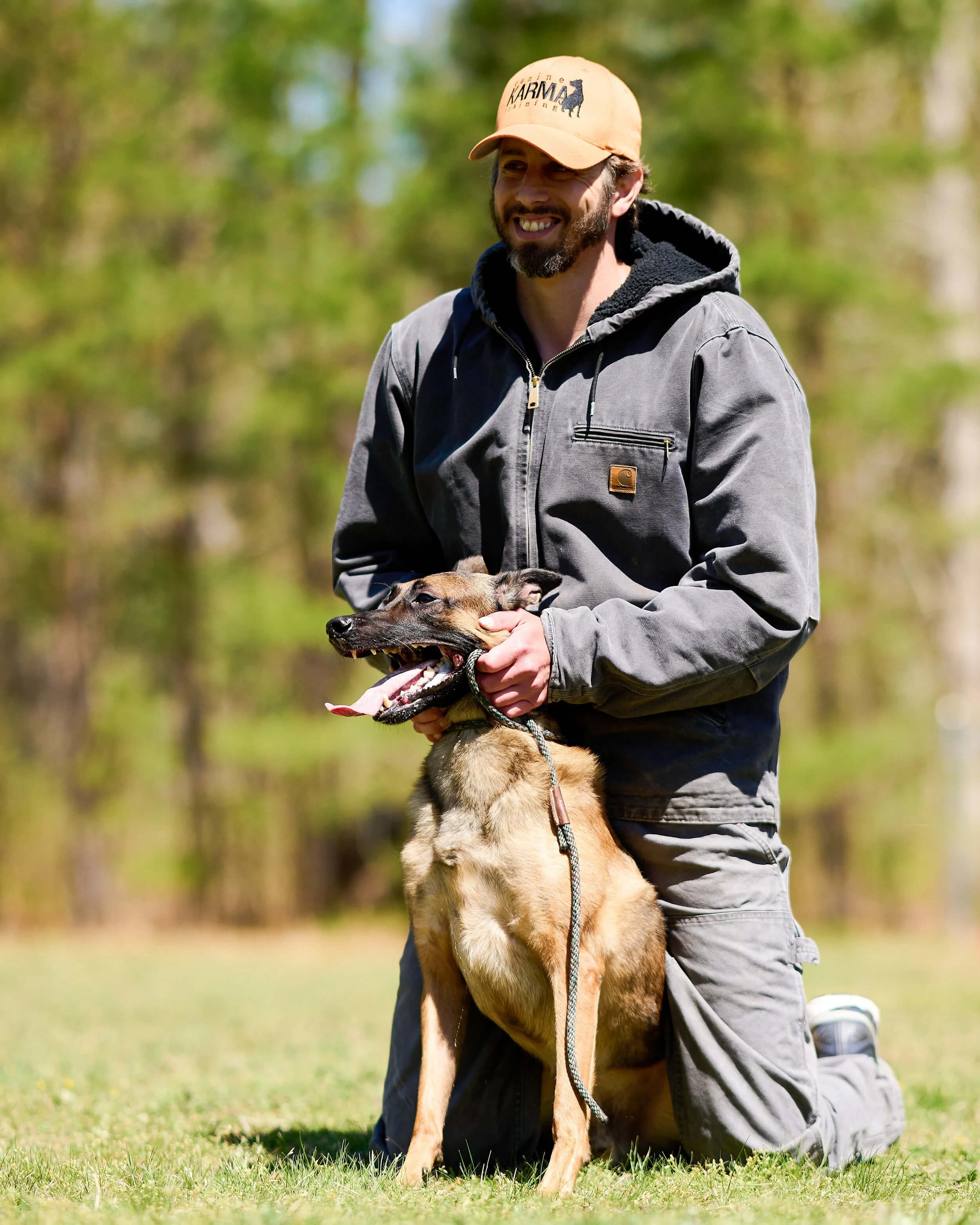 A shiba inu dog sleeping peacefully in the sun.