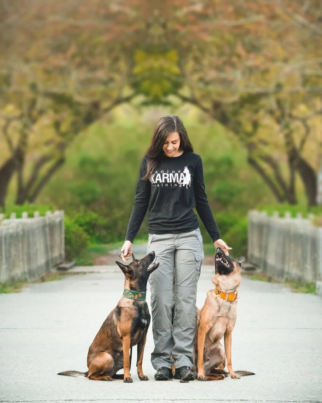 a brown and white dog standing on top of a grass covered field