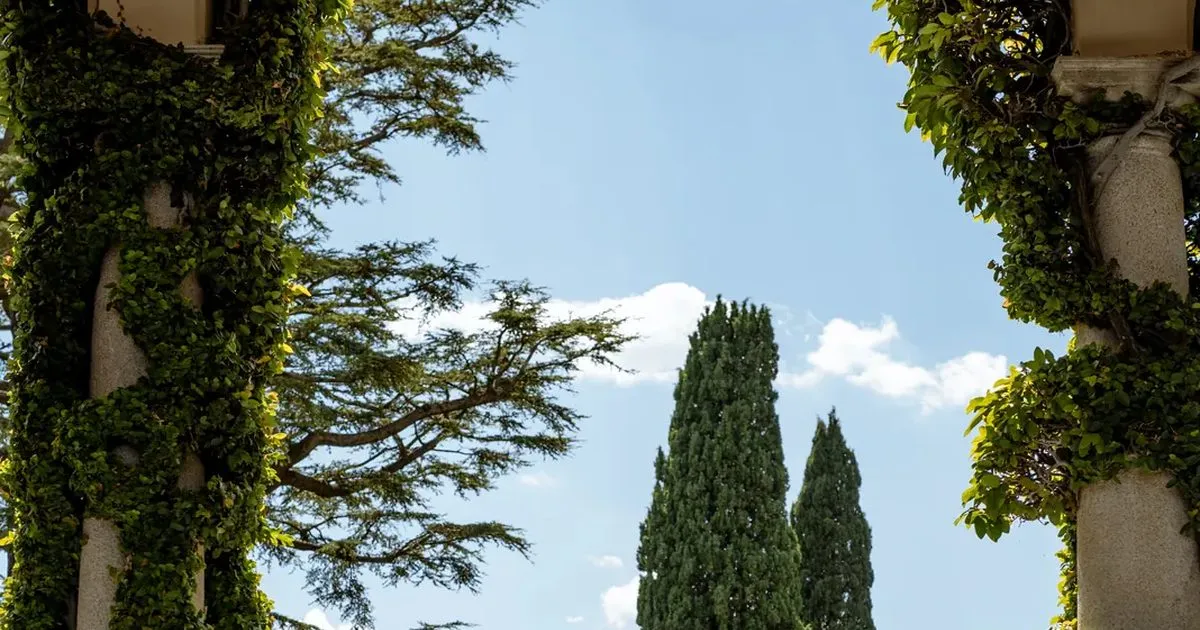 A bride and groom walking together through an Italian garden in soft afternoon light