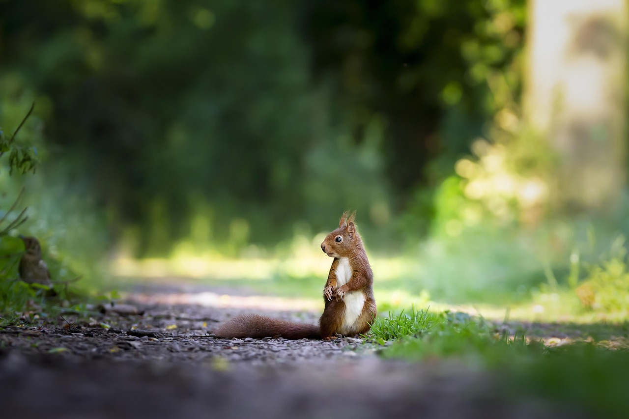 a close up of a tree branch with a blurry background
