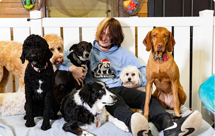 pet boarding & daycare