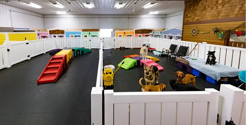 pet boarding facility