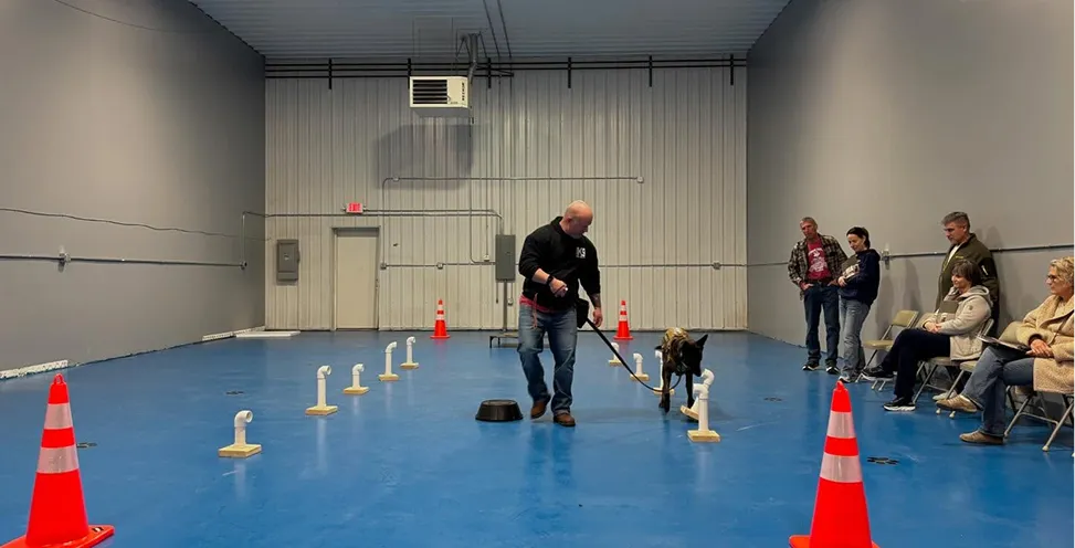 dog daycare in montgomery