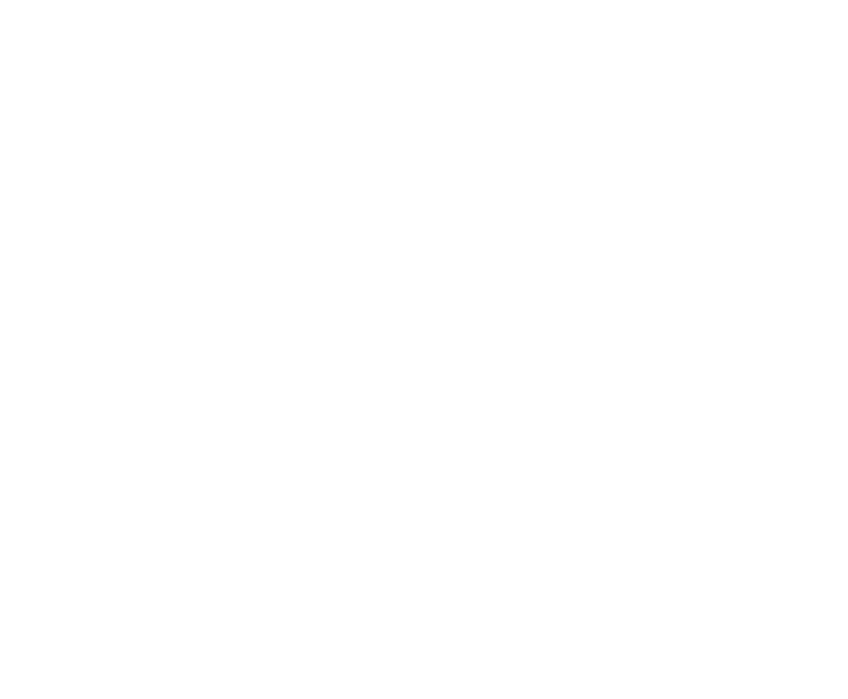 LenaLu Consulting