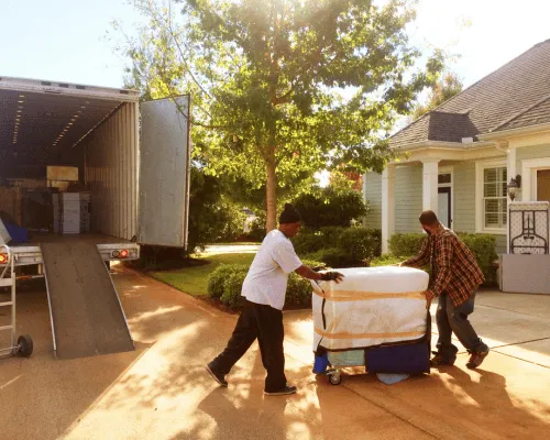 Removals and Transport Central Coast