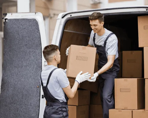 Maitland Office Removals