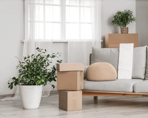 Office Removals Central Coast