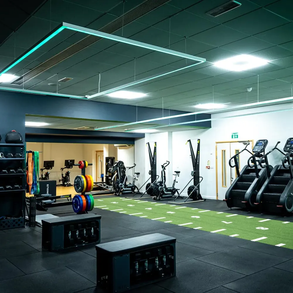 Gym Design & Equipment Sales